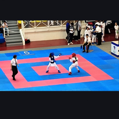 Coupe de France benjamins